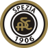 Home team logo