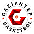 Away team logo