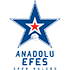 Home team logo