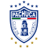 Home team logo