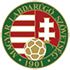 Home team logo
